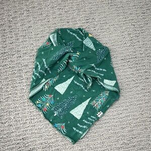 Festive Green Dog scarf